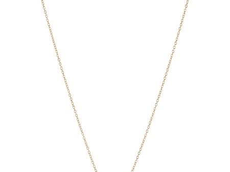 Pernille Corydon Jewellery - Wild Poppy Necklace - Goldenplated For Discount