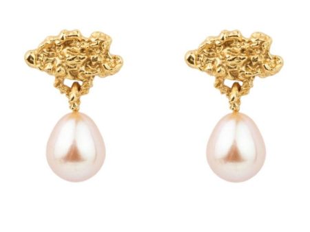 House Of Vincent - Hollow Cloud Earrings - Gilded Online Sale