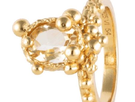 House Of Vincent - Sun Gazer Ring - Gilded Online