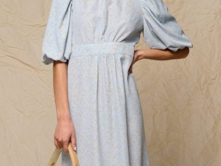 Noella - Paris Long Dress - Blue Flower Online