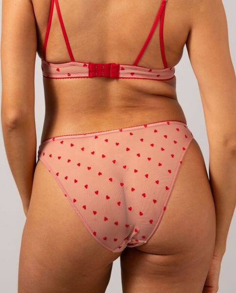 Understatement Underwear - Mesh Bikini Briefs - Pale Pink Deep Red For Cheap